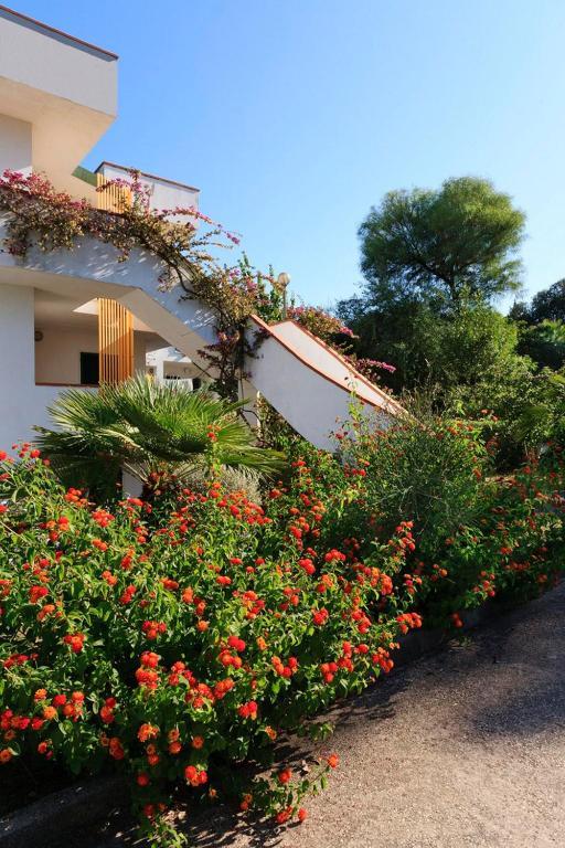 Hotel Villaggio Costa Ripa Rodi Garganico Εξωτερικό φωτογραφία